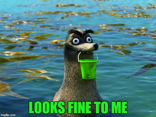 Gerald the sea lion | LOOKS FINE TO ME | image tagged in gerald the sea lion | made w/ Imgflip meme maker