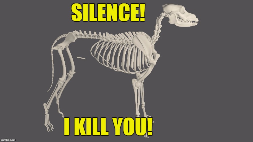 SILENCE! I KILL YOU! | made w/ Imgflip meme maker