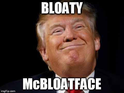 I'm surprised the British missed this one | BLOATY; McBLOATFACE | image tagged in donald trump | made w/ Imgflip meme maker
