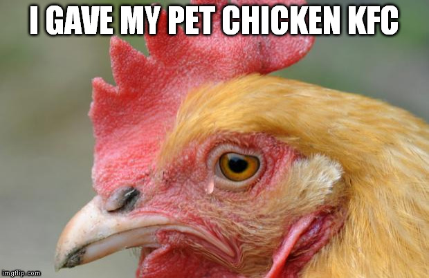 muahahahahahahahahahahaha | I GAVE MY PET CHICKEN KFC | image tagged in sad chicken,first world problems,chicken,disaster girl,kfc | made w/ Imgflip meme maker
