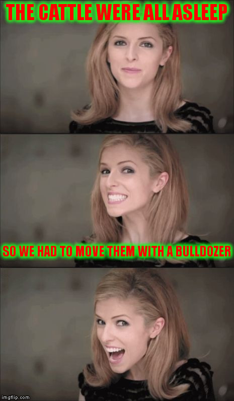 Bad Pun Anna Kendrick | THE CATTLE WERE ALL ASLEEP; SO WE HAD TO MOVE THEM WITH A BULLDOZER | image tagged in memes,bad pun anna kendrick | made w/ Imgflip meme maker