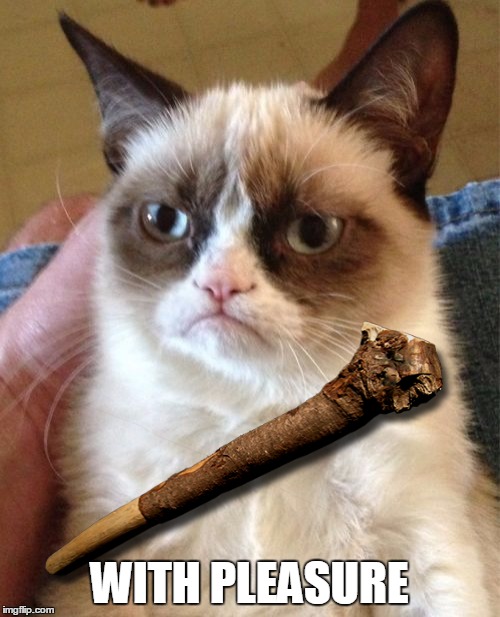 Grumpy Cat Meme | WITH PLEASURE | image tagged in memes,grumpy cat | made w/ Imgflip meme maker