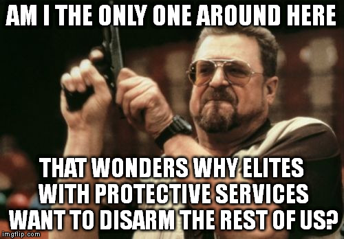Am I The Only One Around Here | AM I THE ONLY ONE AROUND HERE; THAT WONDERS WHY ELITES WITH PROTECTIVE SERVICES WANT TO DISARM THE REST OF US? | image tagged in memes,am i the only one around here | made w/ Imgflip meme maker