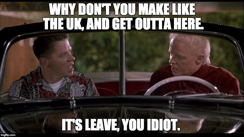 Brexit to the Future  | WHY DON'T YOU MAKE LIKE THE UK, AND GET OUTTA HERE. IT'S LEAVE, YOU IDIOT. | image tagged in old biff meets young biff,back to the future,brexit,eu referendum,leave,remain | made w/ Imgflip meme maker