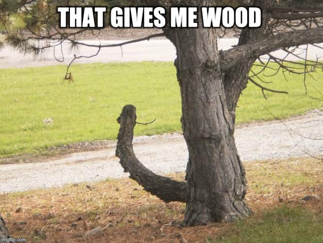 THAT GIVES ME WOOD | made w/ Imgflip meme maker