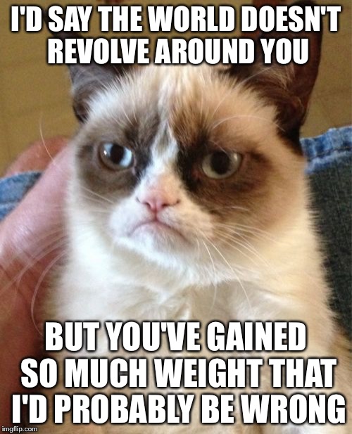 Grumpy Cat | I'D SAY THE WORLD DOESN'T REVOLVE AROUND YOU; BUT YOU'VE GAINED SO MUCH WEIGHT THAT I'D PROBABLY BE WRONG | image tagged in memes,grumpy cat | made w/ Imgflip meme maker