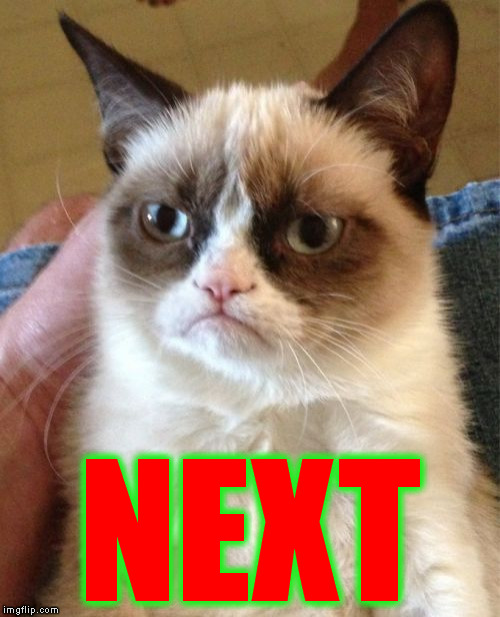 Grumpy Cat Meme | NEXT | image tagged in memes,grumpy cat | made w/ Imgflip meme maker