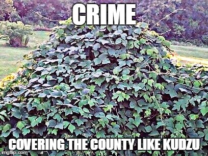 CRIME; COVERING THE COUNTY LIKE KUDZU | image tagged in kudzu | made w/ Imgflip meme maker