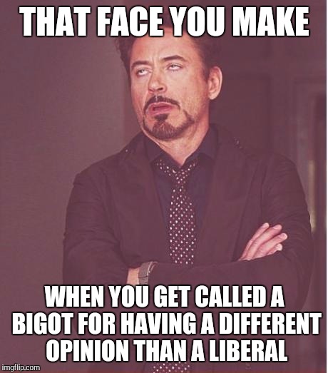 Face You Make Robert Downey Jr Meme | THAT FACE YOU MAKE; WHEN YOU GET CALLED A BIGOT FOR HAVING A DIFFERENT OPINION THAN A LIBERAL | image tagged in memes,face you make robert downey jr | made w/ Imgflip meme maker