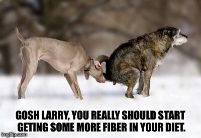 More fiber. | GOSH LARRY, YOU REALLY SHOULD START GETING SOME MORE FIBER IN YOUR DIET. | image tagged in more fiber,dogs,funny dogs,funny dog,poop,pooping | made w/ Imgflip meme maker