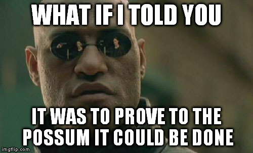 Matrix Morpheus Meme | WHAT IF I TOLD YOU IT WAS TO PROVE TO THE POSSUM IT COULD BE DONE | image tagged in memes,matrix morpheus | made w/ Imgflip meme maker