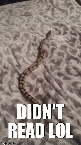 DIDN'T READ LOL | image tagged in gifs | made w/ Imgflip video-to-gif maker