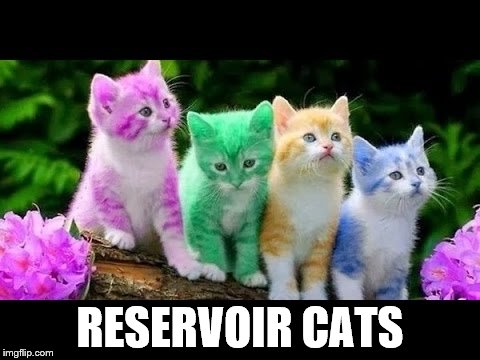 OK cats, here are your names... | RESERVOIR CATS | image tagged in memes,cats,reservoir dogs,films,movies,pets | made w/ Imgflip meme maker