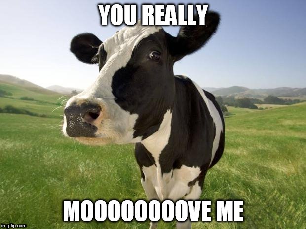 YOU REALLY MOOOOOOOOVE ME | made w/ Imgflip meme maker