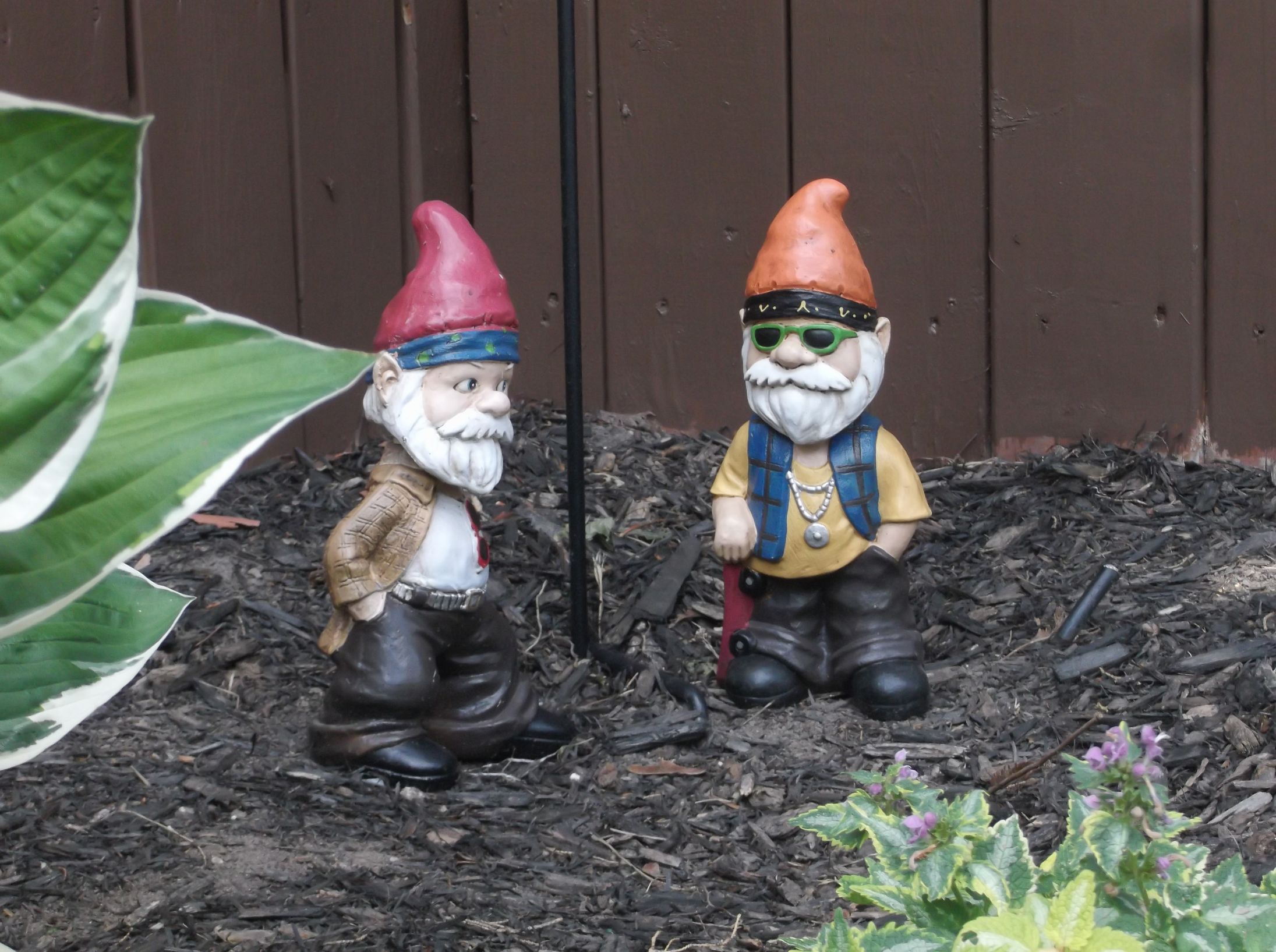 Garden Gnomes Blank Meme Template