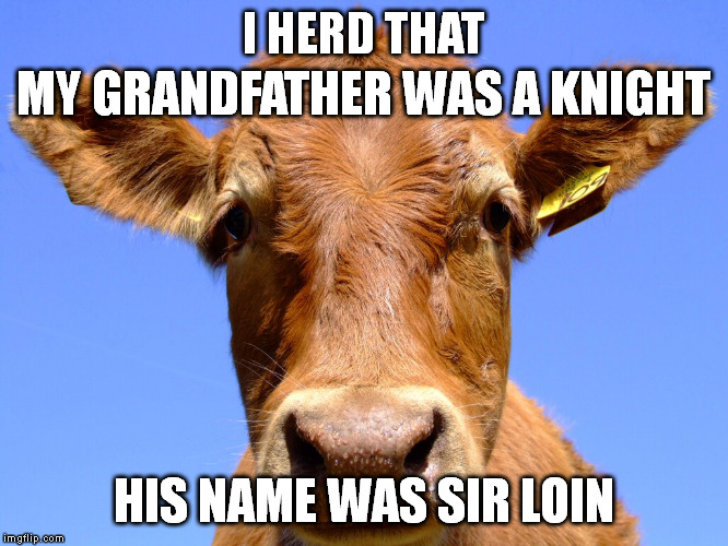 I HERD THAT HIS NAME WAS SIR LOIN MY GRANDFATHER WAS A KNIGHT | made w/ Imgflip meme maker