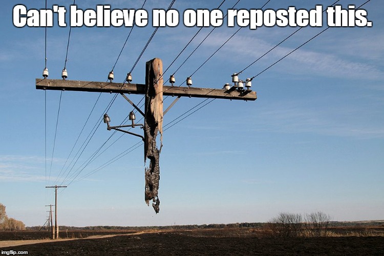 Repost Me | Can't believe no one reposted this. | image tagged in repost me | made w/ Imgflip meme maker