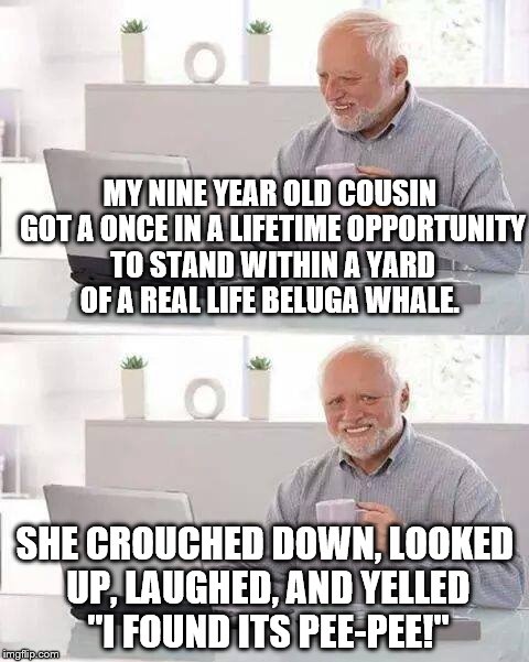 Little kids suck. I'm glad I never was one.  | MY NINE YEAR OLD COUSIN GOT A ONCE IN A LIFETIME OPPORTUNITY TO STAND WITHIN A YARD OF A REAL LIFE BELUGA WHALE. SHE CROUCHED DOWN, LOOKED UP, LAUGHED, AND YELLED "I FOUND ITS PEE-PEE!" | image tagged in memes,hide the pain harold | made w/ Imgflip meme maker