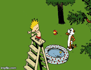 Calvin And Hobbes Pool Jump - Imgflip