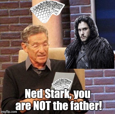 The results are in: | Ned Stark, you are NOT the father! | image tagged in memes,maury lie detector,game of thrones,jon snow | made w/ Imgflip meme maker