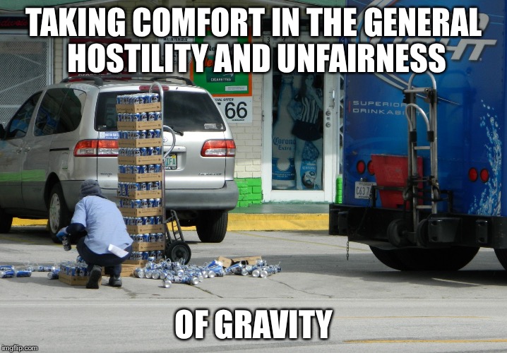 TAKING COMFORT IN THE GENERAL HOSTILITY AND UNFAIRNESS OF GRAVITY | image tagged in gravity the weakest force | made w/ Imgflip meme maker