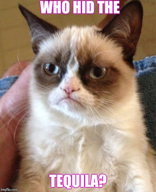 Grumpy Cat | WHO HID THE; TEQUILA? | image tagged in memes,grumpy cat | made w/ Imgflip meme maker