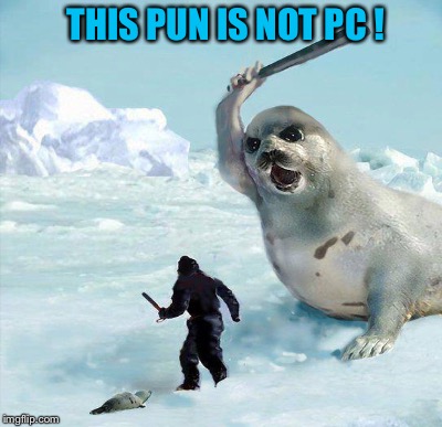 THIS PUN IS NOT PC ! | made w/ Imgflip meme maker