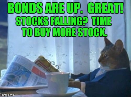 Diversifying your portfolio won't suck. | BONDS ARE UP.  GREAT! STOCKS FALLING?  TIME TO BUY MORE STOCK. | image tagged in memes,i should buy a boat cat | made w/ Imgflip meme maker