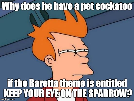 Futurama Fry Meme | Why does he have a pet cockatoo if the Baretta theme is entitled KEEP YOUR EYE ON THE SPARROW? | image tagged in memes,futurama fry | made w/ Imgflip meme maker