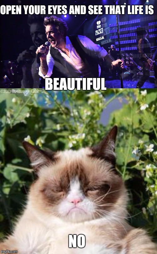  OPEN YOUR EYES AND SEE THAT LIFE IS; BEAUTIFUL; NO | image tagged in grumpy cat,memes | made w/ Imgflip meme maker