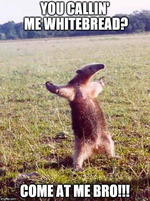 we don't use the "WB" word around here | YOU CALLIN' ME WHITEBREAD? COME AT ME BRO!!! | image tagged in fight me anteater | made w/ Imgflip meme maker
