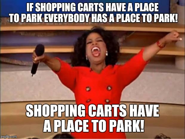 Designated parking spots! | IF SHOPPING CARTS HAVE A PLACE TO PARK EVERYBODY HAS A PLACE TO PARK! SHOPPING CARTS HAVE A PLACE TO PARK! | image tagged in memes,oprah you get a | made w/ Imgflip meme maker