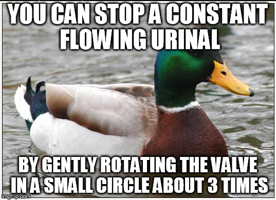 Actual Advice Mallard Meme | YOU CAN STOP A CONSTANT FLOWING URINAL; BY GENTLY ROTATING THE VALVE IN A SMALL CIRCLE ABOUT 3 TIMES | image tagged in memes,actual advice mallard,AdviceAnimals | made w/ Imgflip meme maker