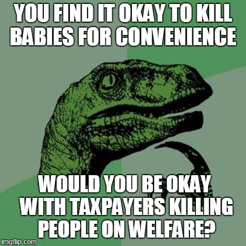 Philosoraptor | YOU FIND IT OKAY TO KILL BABIES FOR CONVENIENCE; WOULD YOU BE OKAY WITH TAXPAYERS KILLING PEOPLE ON WELFARE? | image tagged in memes,philosoraptor | made w/ Imgflip meme maker