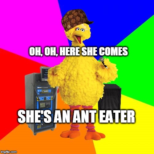 Wrong Lyrics Karaoke Big Bird Imgflip