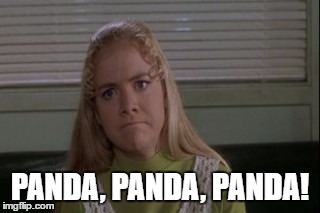 panda panda panda | PANDA, PANDA, PANDA! | image tagged in panda | made w/ Imgflip meme maker