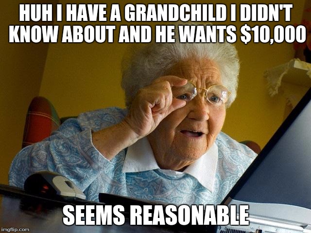 Grandma Finds The Internet | HUH I HAVE A GRANDCHILD I DIDN'T KNOW ABOUT AND HE WANTS $10,000; SEEMS REASONABLE | image tagged in memes,grandma finds the internet,scam | made w/ Imgflip meme maker