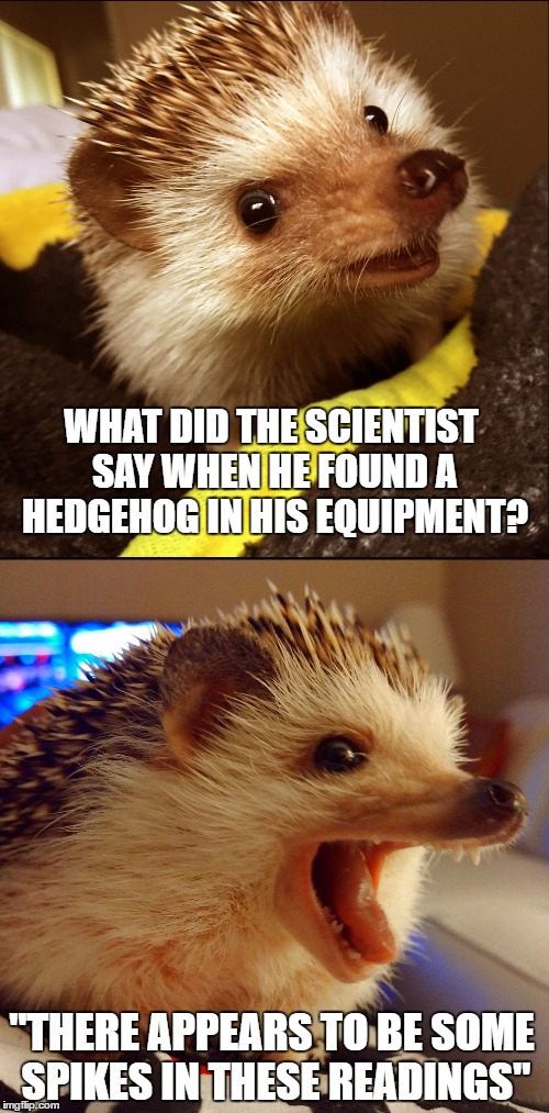 Corny Joke Hedgehog | WHAT DID THE SCIENTIST SAY WHEN HE FOUND A HEDGEHOG IN HIS EQUIPMENT? "THERE APPEARS TO BE SOME SPIKES IN THESE READINGS" | image tagged in corny joke hedgehog | made w/ Imgflip meme maker