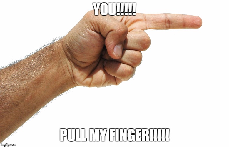  YOU!!!!! PULL MY FINGER!!!!! | image tagged in finger,meme | made w/ Imgflip meme maker