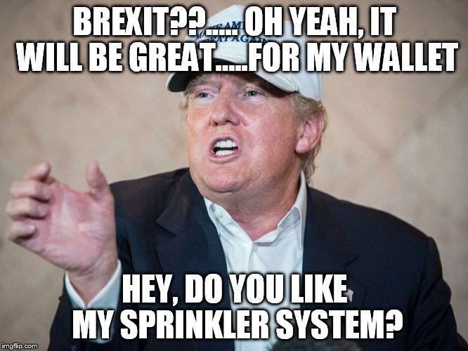 Donald Trump Can't Answer | BREXIT??..... OH YEAH, IT WILL BE GREAT.....FOR MY WALLET; HEY, DO YOU LIKE MY SPRINKLER SYSTEM? | image tagged in donald trump can't answer | made w/ Imgflip meme maker