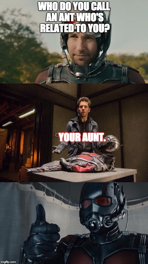 Bad Pun Ant-Man | WHO DO YOU CALL AN ANT WHO'S RELATED TO YOU? YOUR AUNT. | image tagged in bad pun ant-man | made w/ Imgflip meme maker