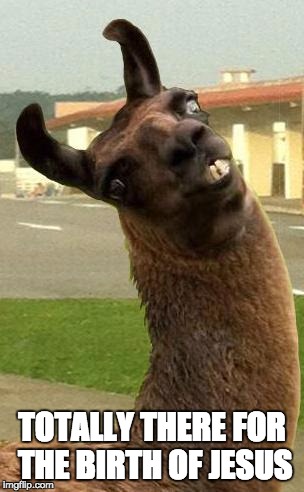 llama | TOTALLY THERE FOR THE BIRTH OF JESUS | image tagged in llama | made w/ Imgflip meme maker