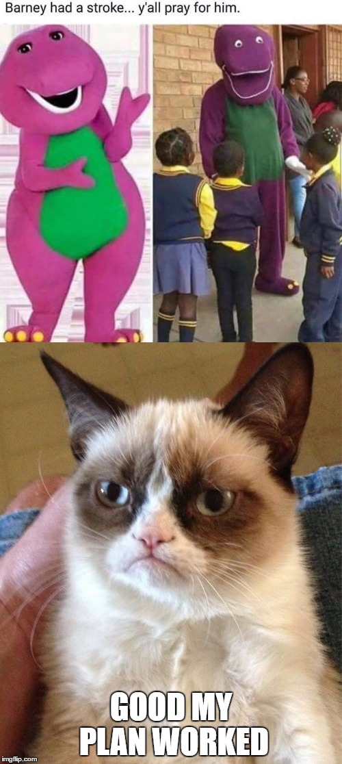 Grumpy cat must have had up to here with barney! | GOOD MY PLAN WORKED | image tagged in grumpy cat,barney,memes,other | made w/ Imgflip meme maker