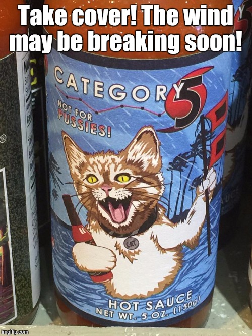 My daughter knows that I like hot sauce and she saw this at the store.  | Take cover! The wind may be breaking soon! | image tagged in img_2839jpg,funny meme | made w/ Imgflip meme maker