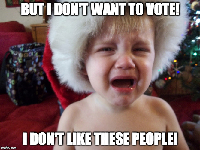 No Voting! | BUT I DON'T WANT TO VOTE! I DON'T LIKE THESE PEOPLE! | image tagged in humor,politics | made w/ Imgflip meme maker