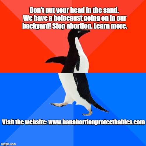 Socially Awesome Awkward Penguin Meme |  Don't put your head in the sand. We have a holocaust going on in our backyard! Stop abortion. Learn more. Visit the website: www.banabortionprotectbabies.com | image tagged in memes,socially awesome awkward penguin | made w/ Imgflip meme maker
