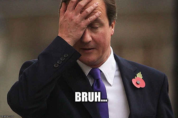 They -really- voted 'Brexit'... -_- | BRUH... | image tagged in memes,funny,it really wasn't funny,cameron,facepalm,i'm done | made w/ Imgflip meme maker