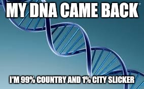 dna | MY DNA CAME BACK; I'M 99% COUNTRY AND 1% CITY SLICKER | image tagged in dna | made w/ Imgflip meme maker