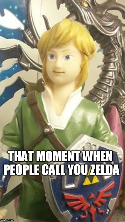 Legacy of Lonk: Flute of Space | THAT MOMENT WHEN PEOPLE CALL YOU ZELDA | image tagged in legend of zelda,ink | made w/ Imgflip meme maker