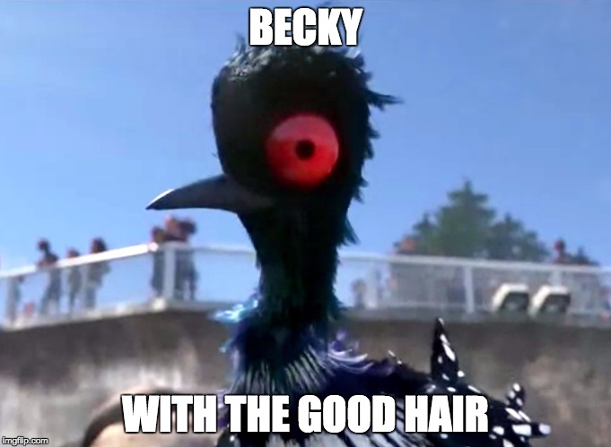 Becky With The Good Hair | BECKY; WITH THE GOOD HAIR | image tagged in becky with the good hair | made w/ Imgflip meme maker